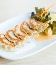 Golden Dragon Dumplings