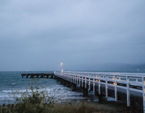 Seatoun Wharf Conservation Management Plan - Draft May 2021