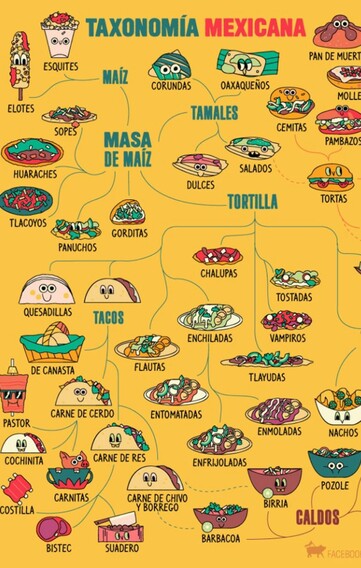 I love this graphic of all the options for Masa de Maiz!