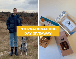 Furry Friends and Medical Life + Giveaway