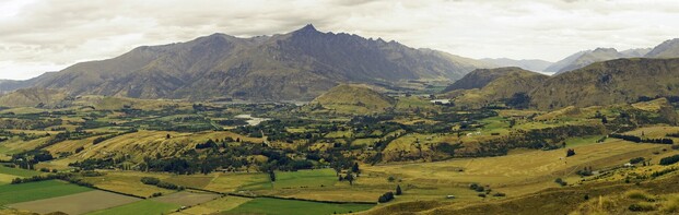 Membership - Over 450+ members from across the country