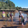 Children walking through shallow water