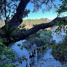Takawaenga Community Maori Liaison image