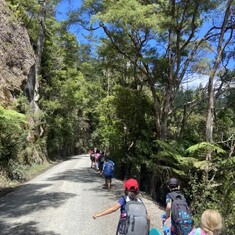 School holiday programme - image of young children walking along a forest road