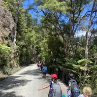 School holiday programme - image of young children walking along a forest road