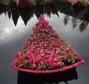 Petal-shaped gardens are cast into water from the giant floating lily. In the wake of the devastating February 2011 earthquakes in Christchurch NZ, this garden speaks to loving the place where you stand but the heartbreak of loss and change.