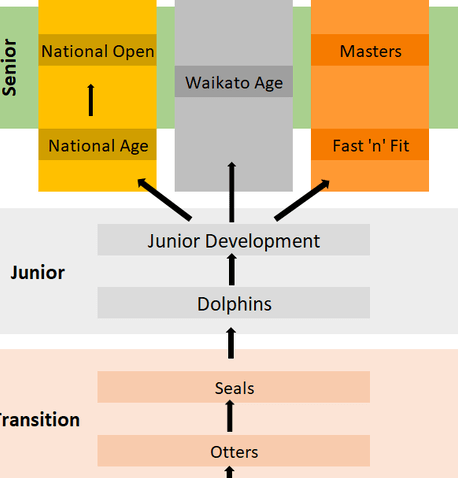 Hamilton Aquatics  - Squad Flow Chart