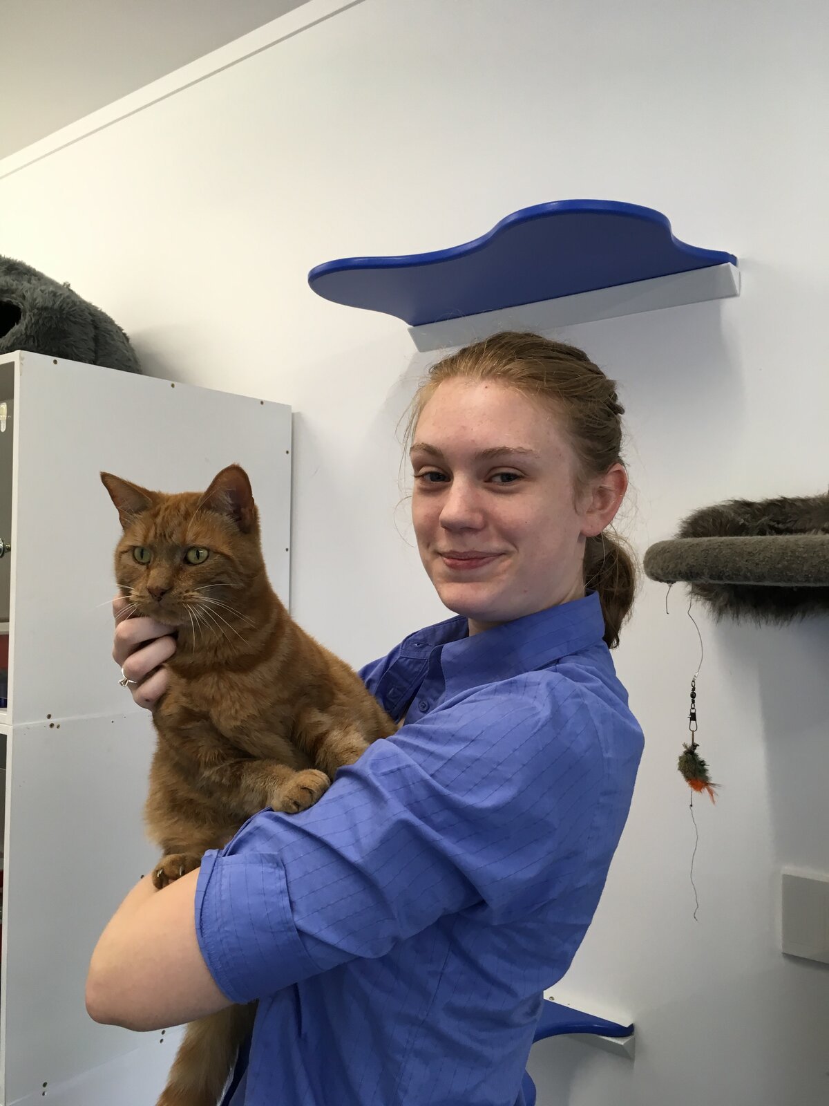 Cambridge Pet Vet Our Clinic Meet the Team