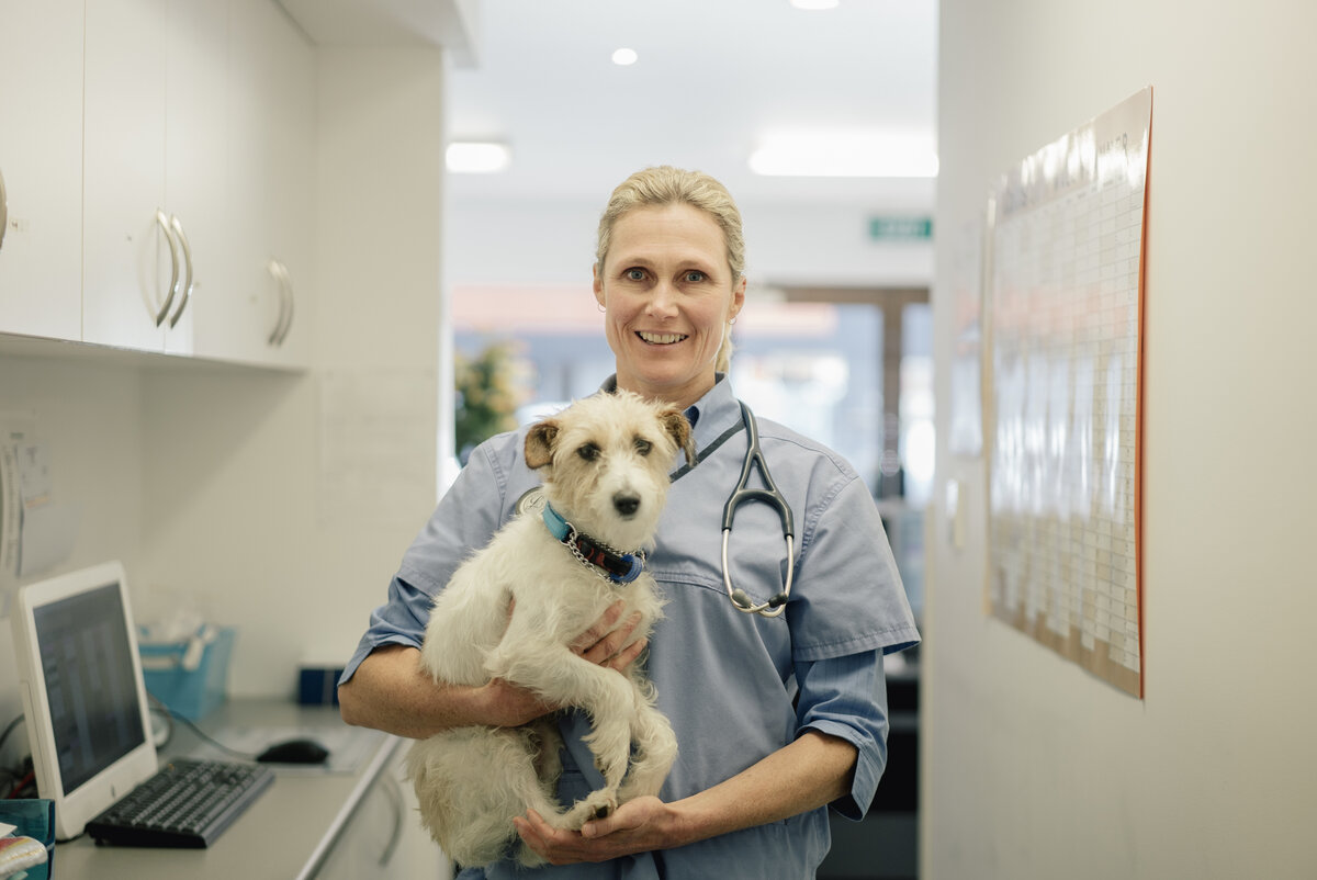 Cambridge Pet Vet Our Clinic Meet the Team