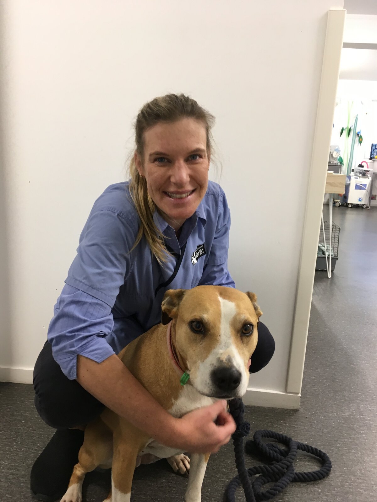 Cambridge Pet Vet Our Clinic Meet the Team