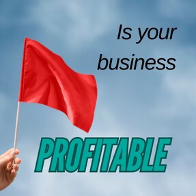 Red flag waving in the wind with the text “Is your business profitable?” highlighting common profit warning signs for small business owners