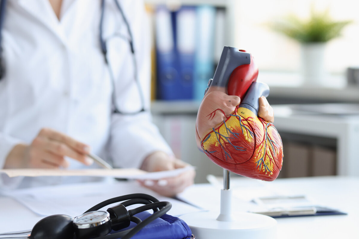 Information for patients | Aro Manawa Cardiac Ultrasound