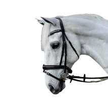 BRIDLES & BITS