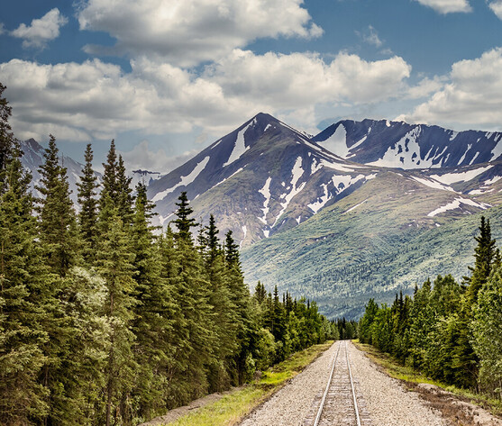 Alaska Travel Broker