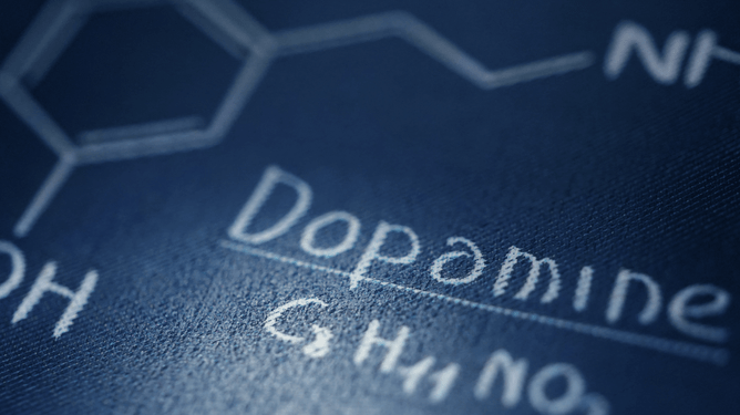 Structural formula of dopamine