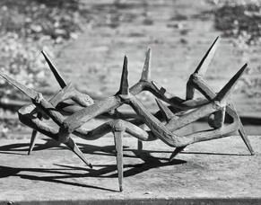 Christ the King Sunday