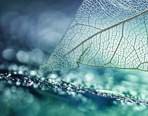 So You Want To Change the World (again)!