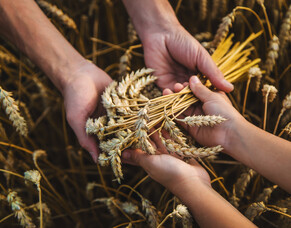 Investing in the Future