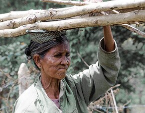 Mission&#039;s Not Dead