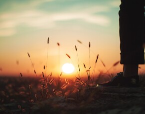 Have a Happy New Year in Mission with God.