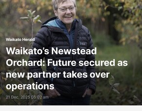Waikato Herald article