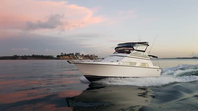 'Amatheia' - Photo credit: Sarah Lay ©