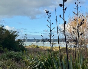 I went for a walk and ended up thinking about websites (as you do!)