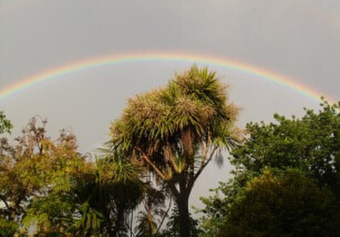 Photo taken from my back garden