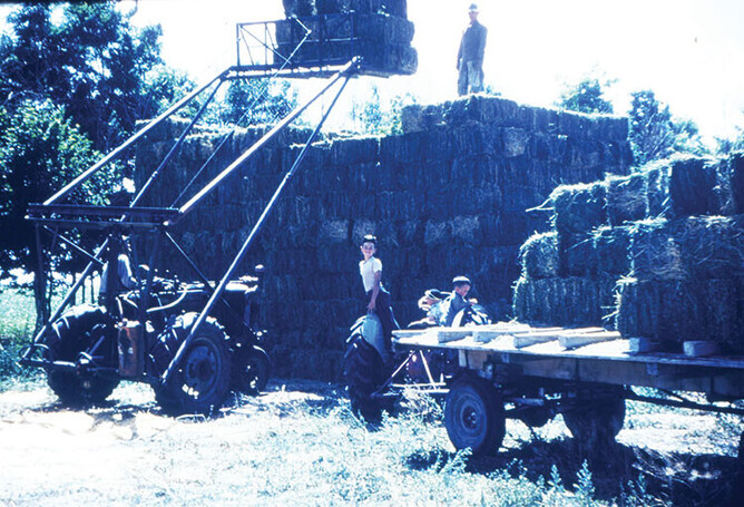 Photo courtesy of Hay & Forage magazine