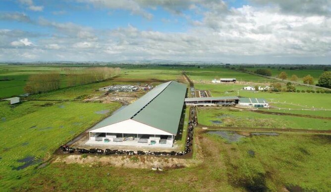 Photo by Calder Stewart