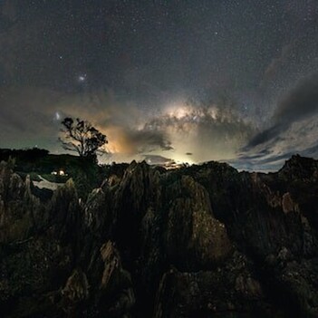 A starry night over mountains and native NZ bush.