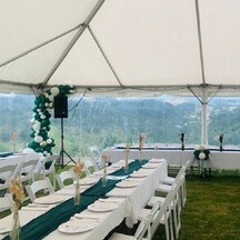 Wedding Balloon Decor | Balloon Decor Tauranga