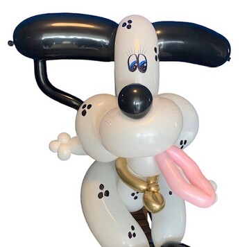 Custom Balloon Design |  | Custom Balloons Tauranga