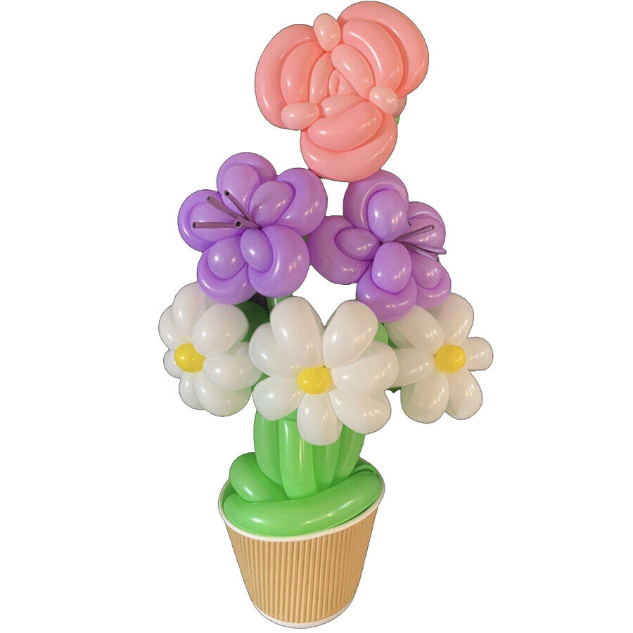 Twisted, Helium and Decor Balloon Deliveries Tauranga Balloon Deliveries