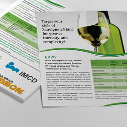Brochure Design