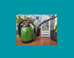 Getting ready for summer...Richard&#039;s tips for dry weather food gardening