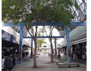 Annual Activity Report - 2019-2020