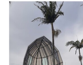 Annual Activity Report - April 2020-March 2021