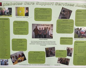 Poster - Diabetes Care Support Service - 2013