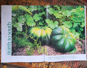 In the news - Gardens4Health spread in NZ Gardener magazine
