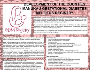 GDM Registry Project Pilot, the conclusion of our part