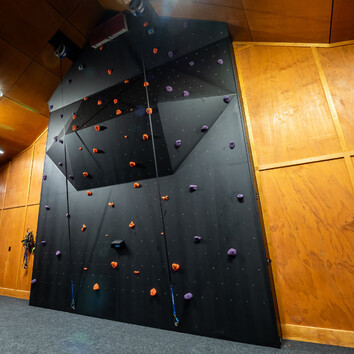 black timber climbing wall. 