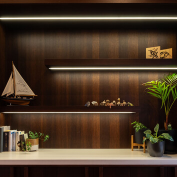 Dark timber shelving with lighting