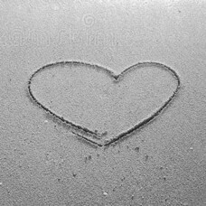 Scoping Trip by Anita Gatley