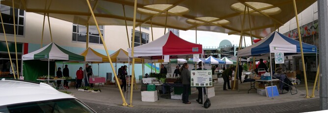 The early days at Huatoki Plaza