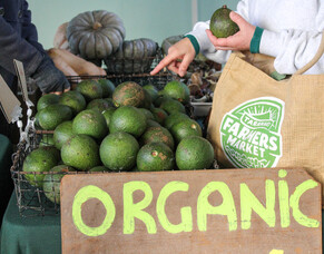 Why shop at your local Farmers Market?