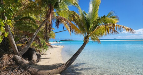 Beautiful Rarotonga