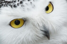 Manage and Follow up - We will monitor and report on your advertising plan activity and media channels, making recommendations for adjustment if or when required.