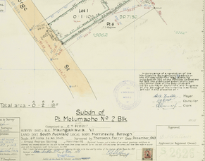 Understanding Cross Lease Titles: Important Considerations, Common Issues and Solutions