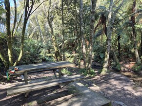 At the cemetery track 9.9.2025